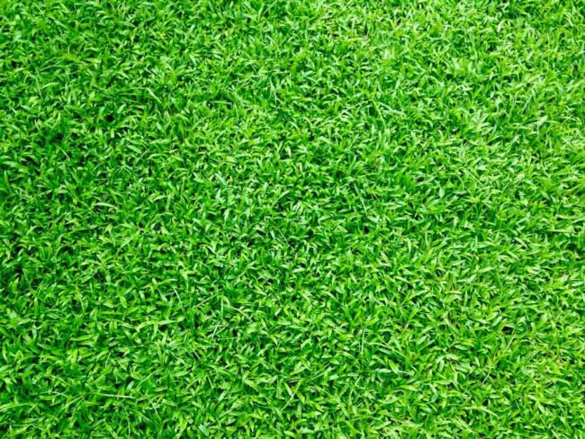 The Top Advantages of Synthetic Turf